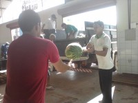 /album/galeria-de-fotos/p030613-0938-jpg/