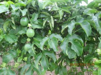 /album/galeria-de-fotos/img-0440-jpg/