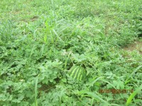 /album/galeria-de-fotos/img-0426-jpg/