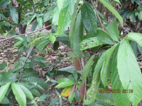 /album/galeria-de-fotos/img-0428-jpg/