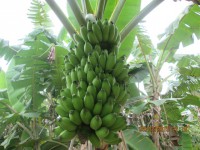 /album/galeria-de-fotos/img-0429-jpg/